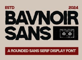 Bavnoir Font preview image 1