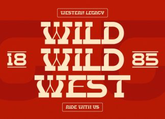 Bebop Rodeo Font preview image 3