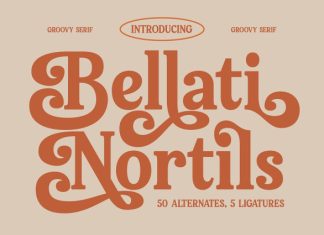 Bellati Nortils Font preview image 1