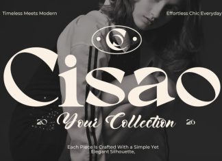 Berico Font preview image 3