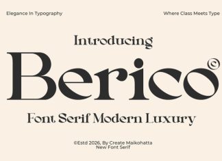 Berico Font preview image 1