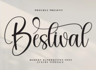 Bestival Font preview image 1