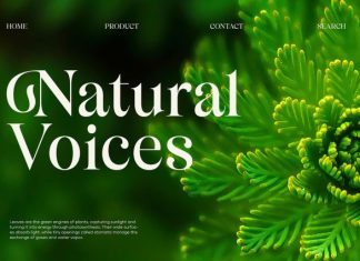 Bisquine Font preview image 3