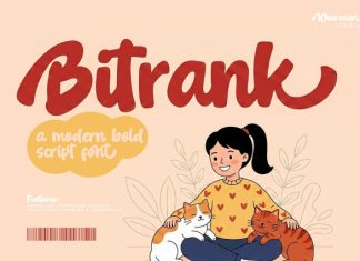 Bitrank Font preview image 1