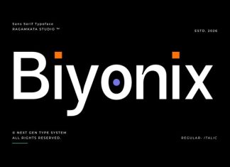 Biyonix Font preview image 1