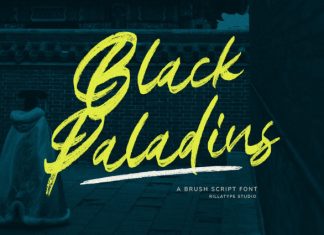 Black Paladins Font preview image 1