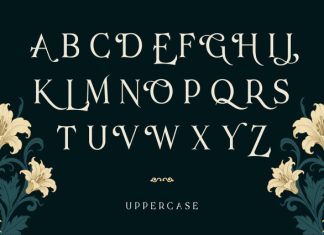 Blades Of Fortunes Font preview image 2