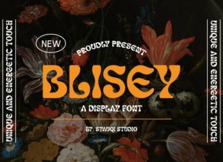 Blisey Font preview image 1