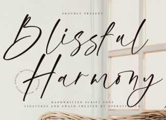 Blissful Harmony Font preview image 1