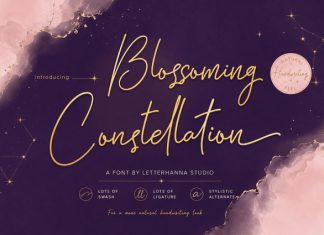 Blossoming Constellation Font preview image 1