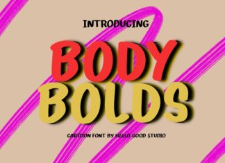 Body Bolds Font preview image 1
