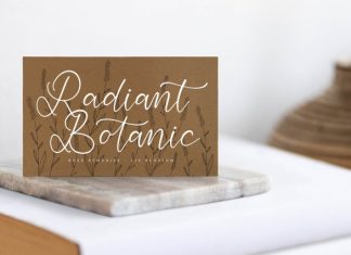 Boldful Starlight Font preview image 2