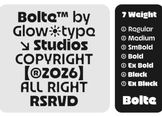 Bolte Font Family preview image 3