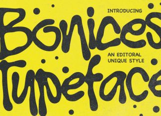 Bonices Font preview image 1