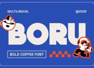 Boru Font preview image 1
