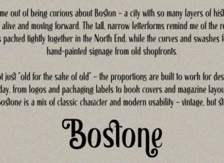 Bostone Font preview image 2