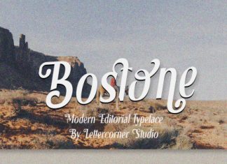 Bostone Font preview image 1