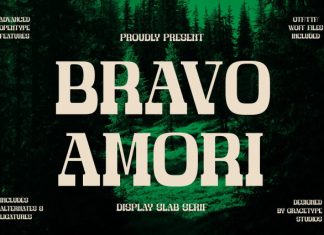 Bravo Amori Font preview image 1