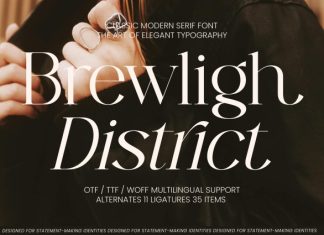 Brewligh District Font preview image 1