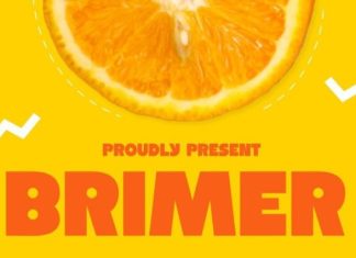 Brimer Font preview image 1