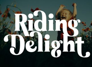 Bring Vacation Font preview image 2