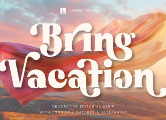 Bring Vacation Font preview image 1