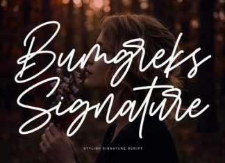 Bumgreks Signature Font preview image 1