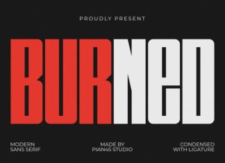 Burned Font preview image 1