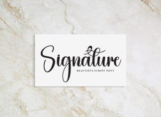 Butterfly Font preview image 3