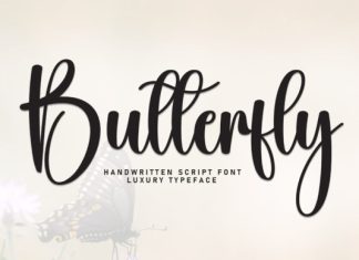 Butterfly Font preview image 1