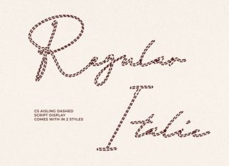 CS Aisling Dashed Font preview image 2