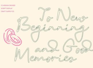 CS Ariana Dashed Font preview image 2