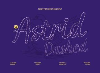 CS Astrid Dashed Font preview image 1