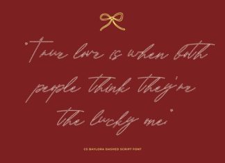 CS Baylora Dashed Font preview image 3
