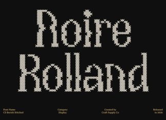 CS Berish Stitched Font preview image 3