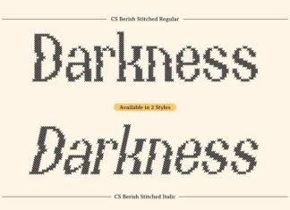 CS Berish Stitched Font preview image 2