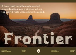 CS Berta Stitched Font preview image 2