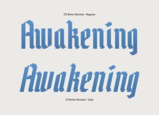 CS Brine Stitched Font preview image 2
