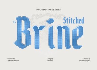 CS Brine Stitched Font preview image 1