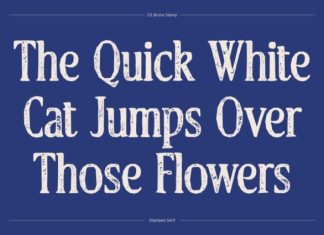 CS Bruna Stamp Font preview image 2