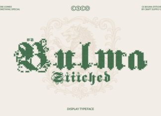 CS Bulma Stitched Font preview image 1