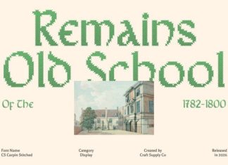 CS Carpin Stitched Font preview image 2