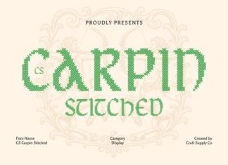 CS Carpin Stitched Font preview image 1