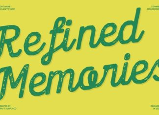 CS Casey Stamp Font preview image 3