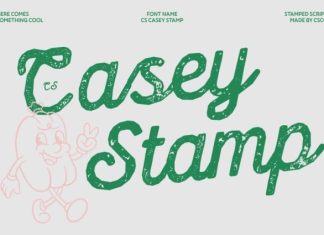 CS Casey Stamp Font preview image 1