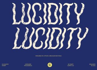 CS Caustic Stamp Font preview image 2