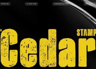 CS Cedar Stamp Font preview image 1