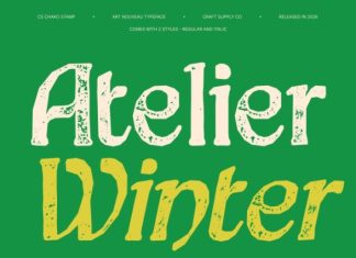CS Chako Stamp Font preview image 3