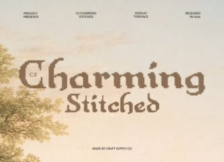 CS Charming Stitched Font preview image 1