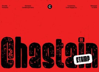 CS Chastain Stamp Font preview image 2
